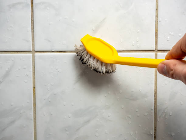 Best Home Mold Removal  in Colwich, KS