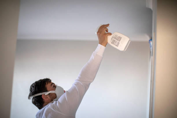 Best Fast Mold Removal  in Colwich, KS
