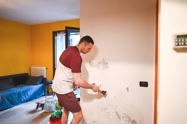 Best Affordable Mold Removal  in Colwich, KS